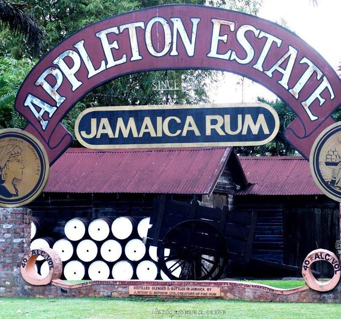 RUNAWAY BAY Appleton Rum Tour